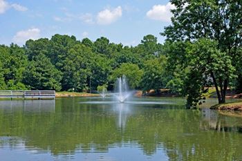 Sparking lake within community